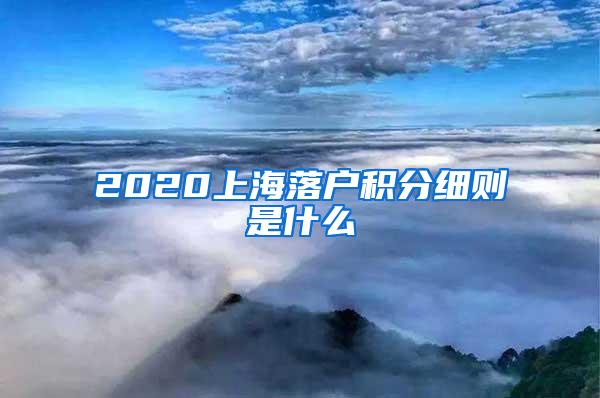 2020上海落户积分细则是什么