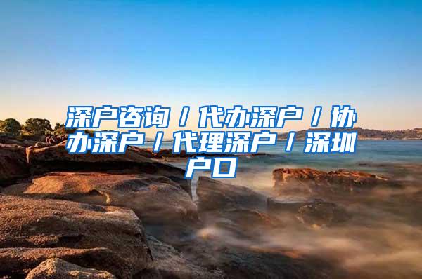 深户咨询／代办深户／协办深户／代理深户／深圳户口