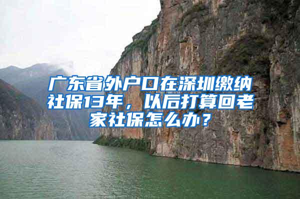 广东省外户口在深圳缴纳社保13年，以后打算回老家社保怎么办？