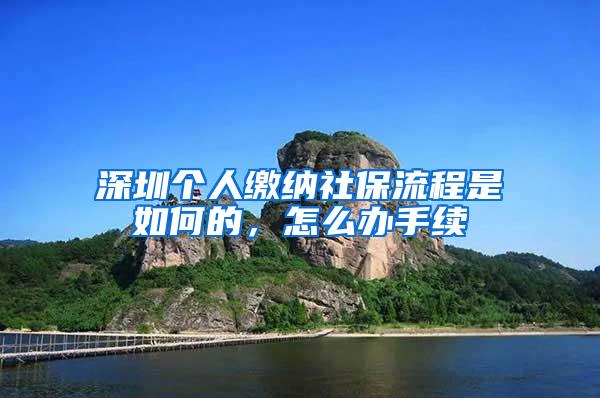 深圳个人缴纳社保流程是如何的，怎么办手续