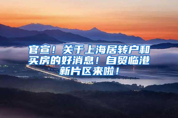 官宣！关于上海居转户和买房的好消息！自贸临港新片区来啦！
