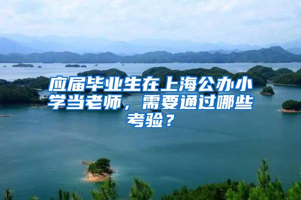 应届毕业生在上海公办小学当老师，需要通过哪些考验？