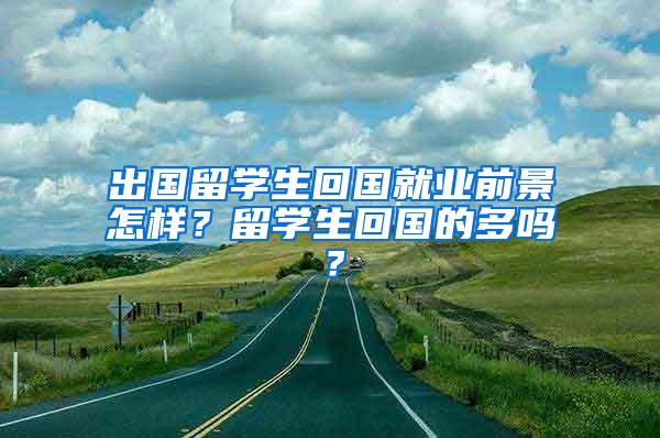 出国留学生回国就业前景怎样？留学生回国的多吗？