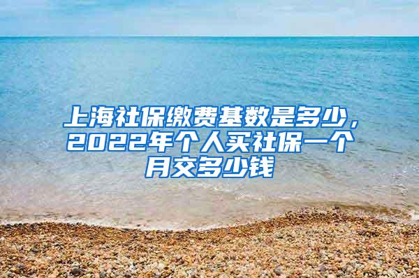 上海社保缴费基数是多少，2022年个人买社保一个月交多少钱