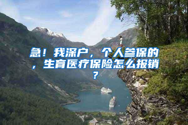 急！我深户，个人参保的，生育医疗保险怎么报销？