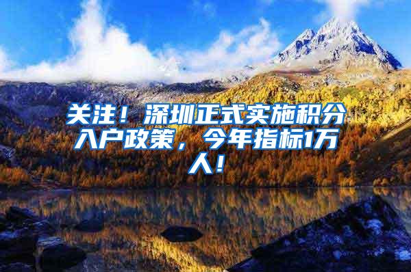 关注！深圳正式实施积分入户政策，今年指标1万人！