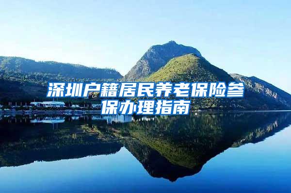 深圳户籍居民养老保险参保办理指南