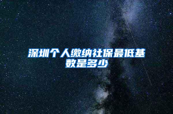 深圳个人缴纳社保最低基数是多少