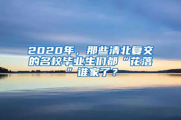 2020年，那些清北复交的名校毕业生们都“花落”谁家了？