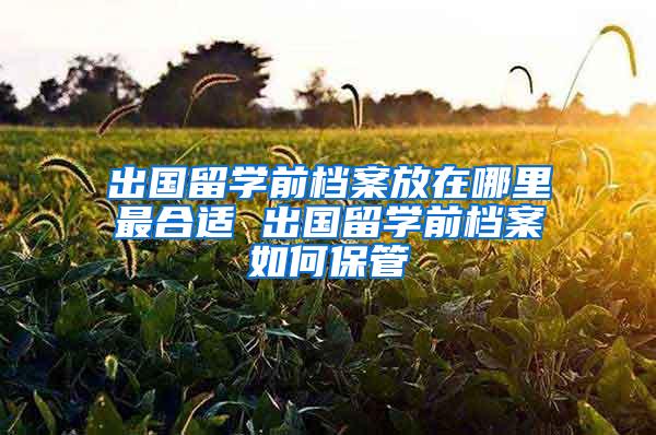 出国留学前档案放在哪里最合适 出国留学前档案如何保管