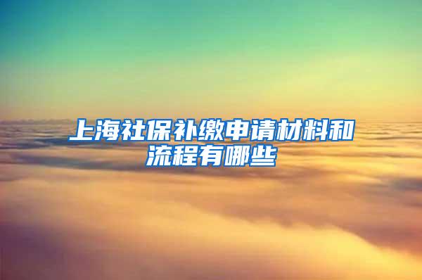 上海社保补缴申请材料和流程有哪些