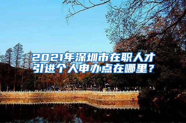 2021年深圳市在职人才引进个人申办点在哪里？