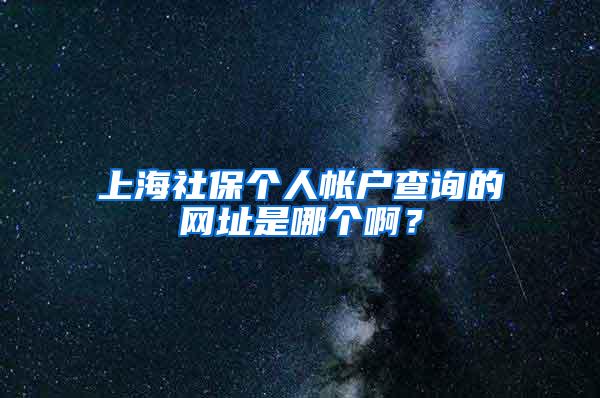 上海社保个人帐户查询的网址是哪个啊？