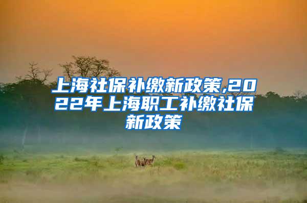 上海社保补缴新政策,2022年上海职工补缴社保新政策