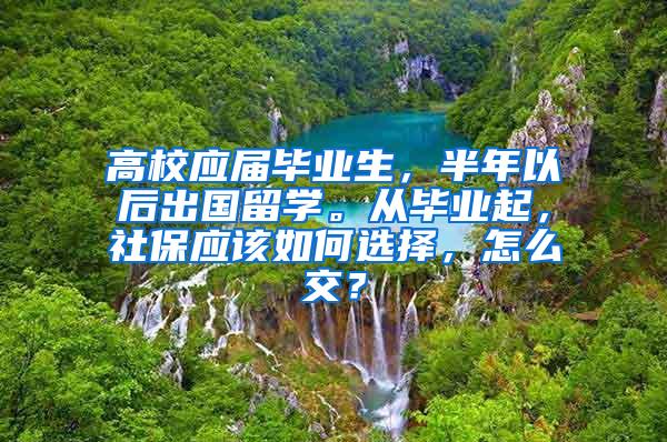 高校应届毕业生，半年以后出国留学。从毕业起，社保应该如何选择，怎么交？