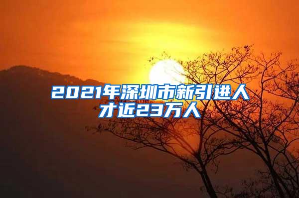 2021年深圳市新引进人才近23万人