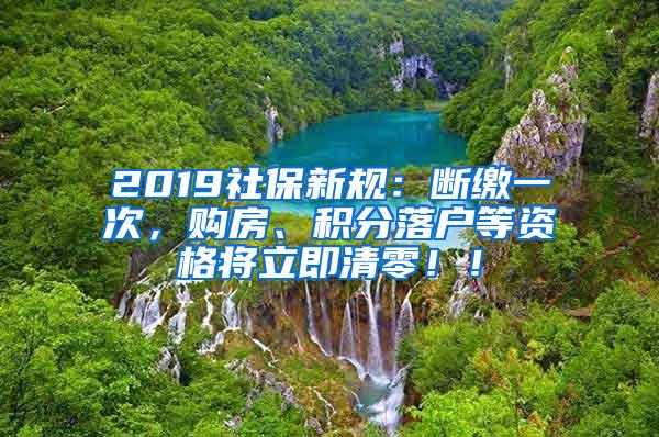 2019社保新规：断缴一次，购房、积分落户等资格将立即清零！！