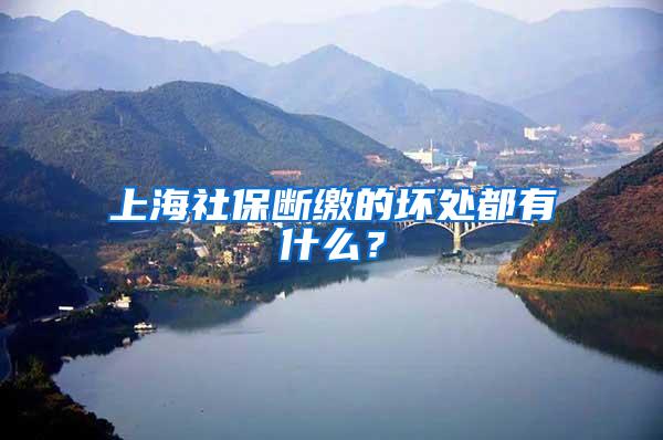 上海社保断缴的坏处都有什么？