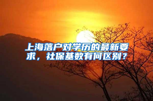 上海落户对学历的最新要求，社保基数有何区别？