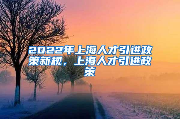 2022年上海人才引进政策新规，上海人才引进政策