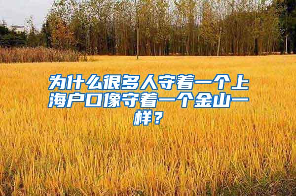 为什么很多人守着一个上海户口像守着一个金山一样？