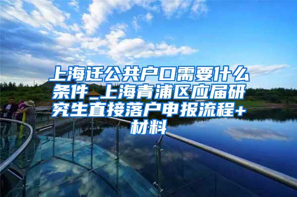 上海迁公共户口需要什么条件_上海青浦区应届研究生直接落户申报流程+材料
