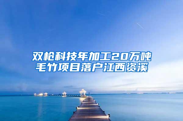 双枪科技年加工20万吨毛竹项目落户江西资溪