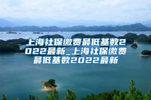 上海社保缴费最低基数2022最新_上海社保缴费最低基数2022最新