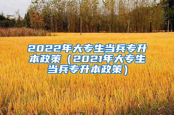 2022年大专生当兵专升本政策（2021年大专生当兵专升本政策）