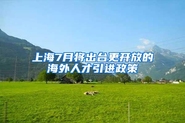 上海7月将出台更开放的海外人才引进政策