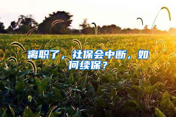 离职了，社保会中断，如何续保？