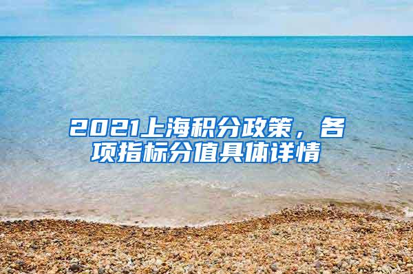 2021上海积分政策，各项指标分值具体详情