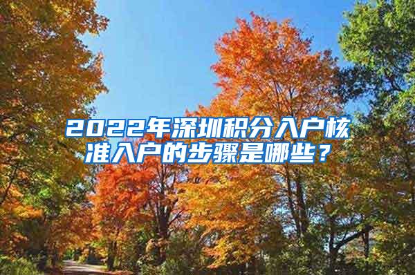 2022年深圳积分入户核准入户的步骤是哪些？