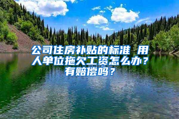 公司住房补贴的标准 用人单位拖欠工资怎么办？有赔偿吗？