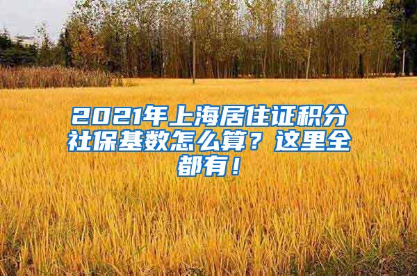 2021年上海居住证积分社保基数怎么算？这里全都有！