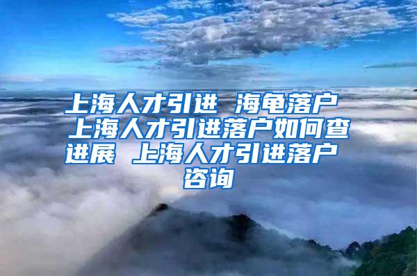 上海人才引进 海龟落户 上海人才引进落户如何查进展 上海人才引进落户 咨询