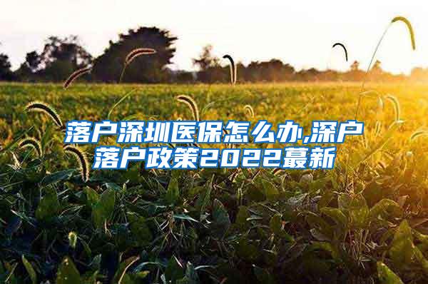 落户深圳医保怎么办,深户落户政策2022蕞新