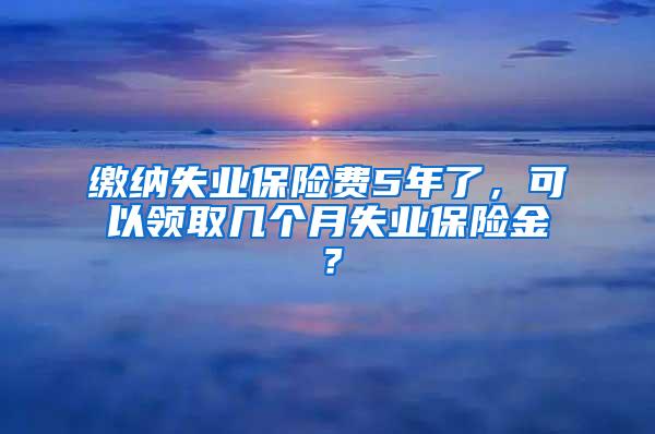 缴纳失业保险费5年了，可以领取几个月失业保险金？