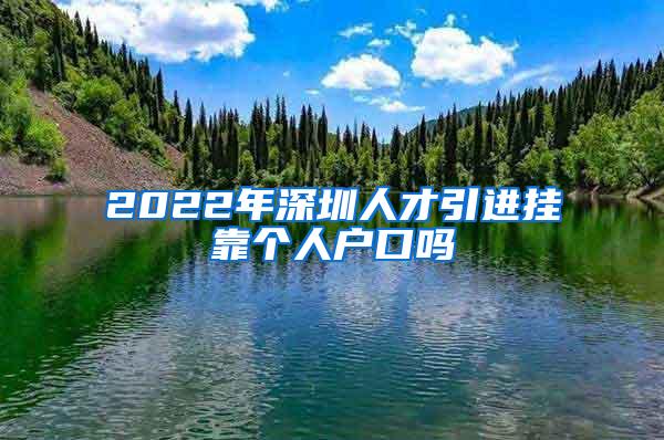 2022年深圳人才引进挂靠个人户口吗