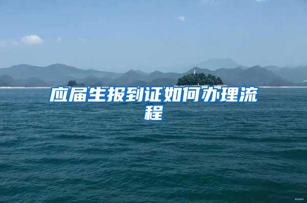 应届生报到证如何办理流程