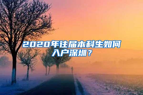 2020年往届本科生如何入户深圳？