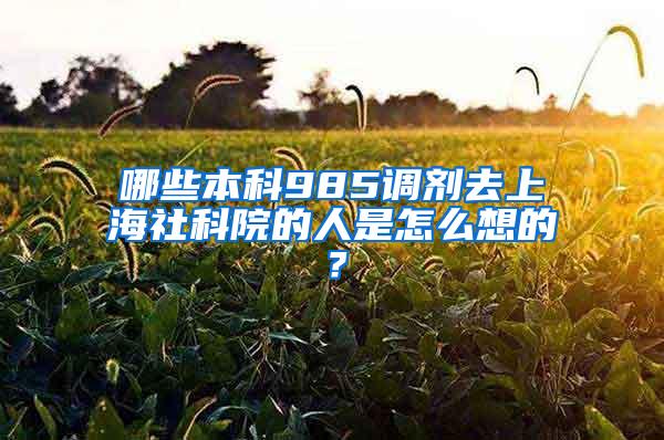 哪些本科985调剂去上海社科院的人是怎么想的？