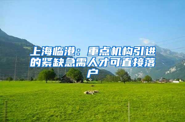 上海临港：重点机构引进的紧缺急需人才可直接落户