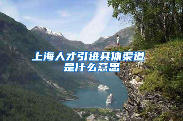 上海人才引进具体渠道 是什么意思
