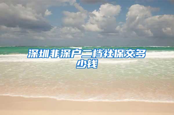 深圳非深户二档社保交多少钱