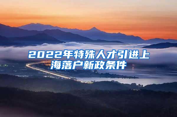 2022年特殊人才引进上海落户新政条件