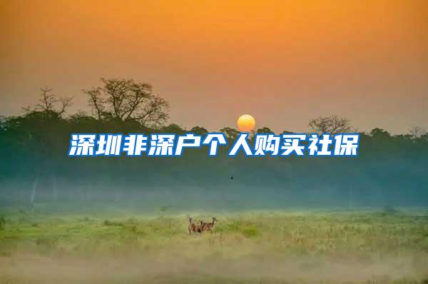 深圳非深户个人购买社保