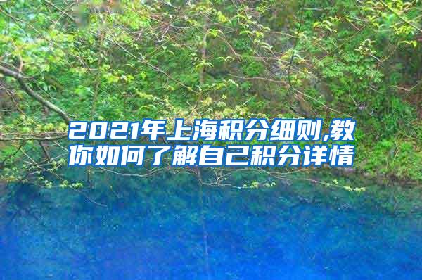 2021年上海积分细则,教你如何了解自己积分详情