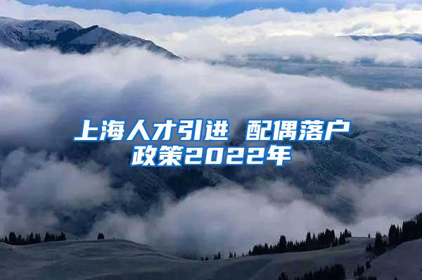 上海人才引进 配偶落户政策2022年