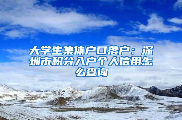 大学生集体户口落户：深圳市积分入户个人信用怎么查询